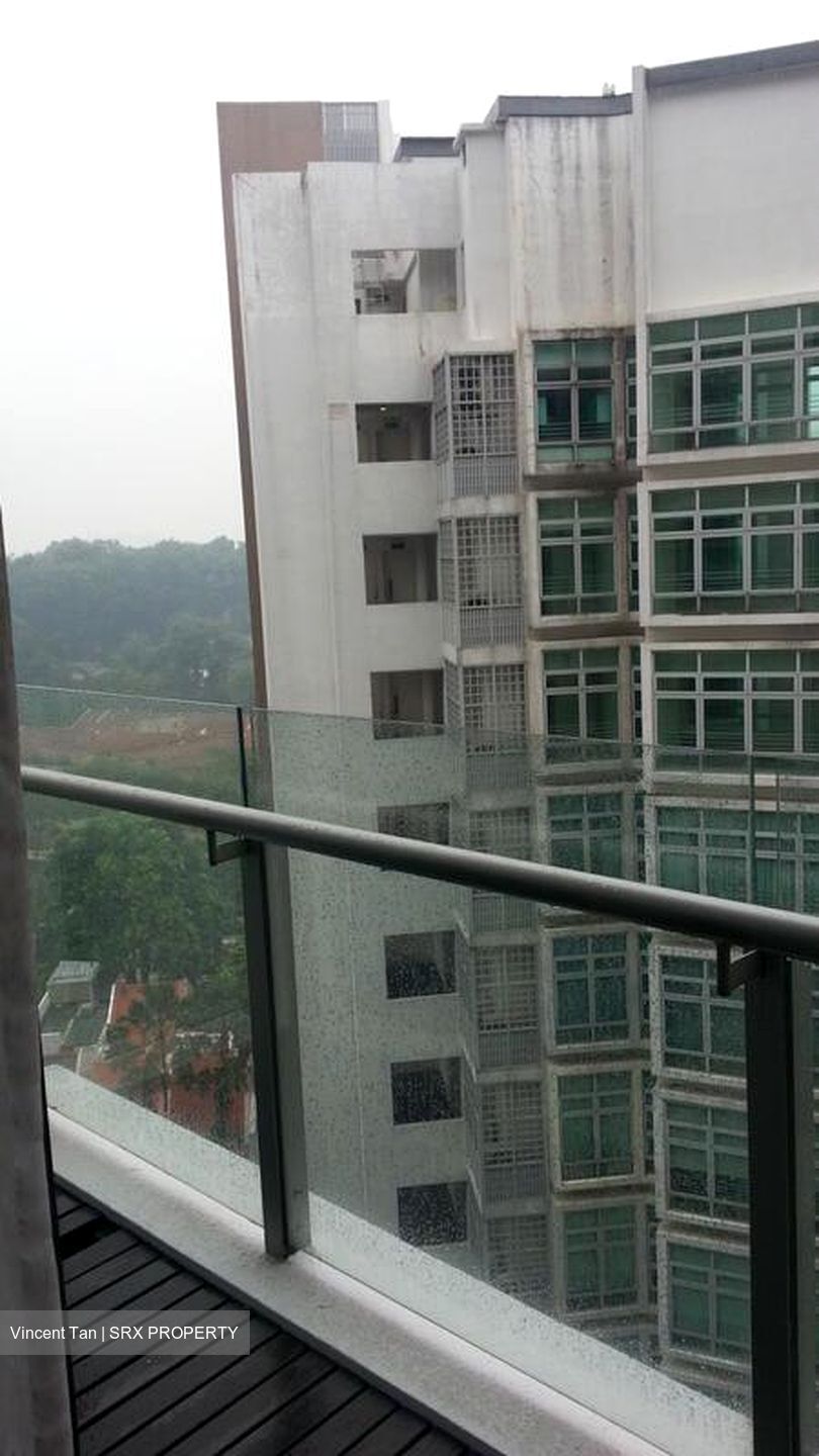 Cairnhill Crest (D9), Condominium #501800491